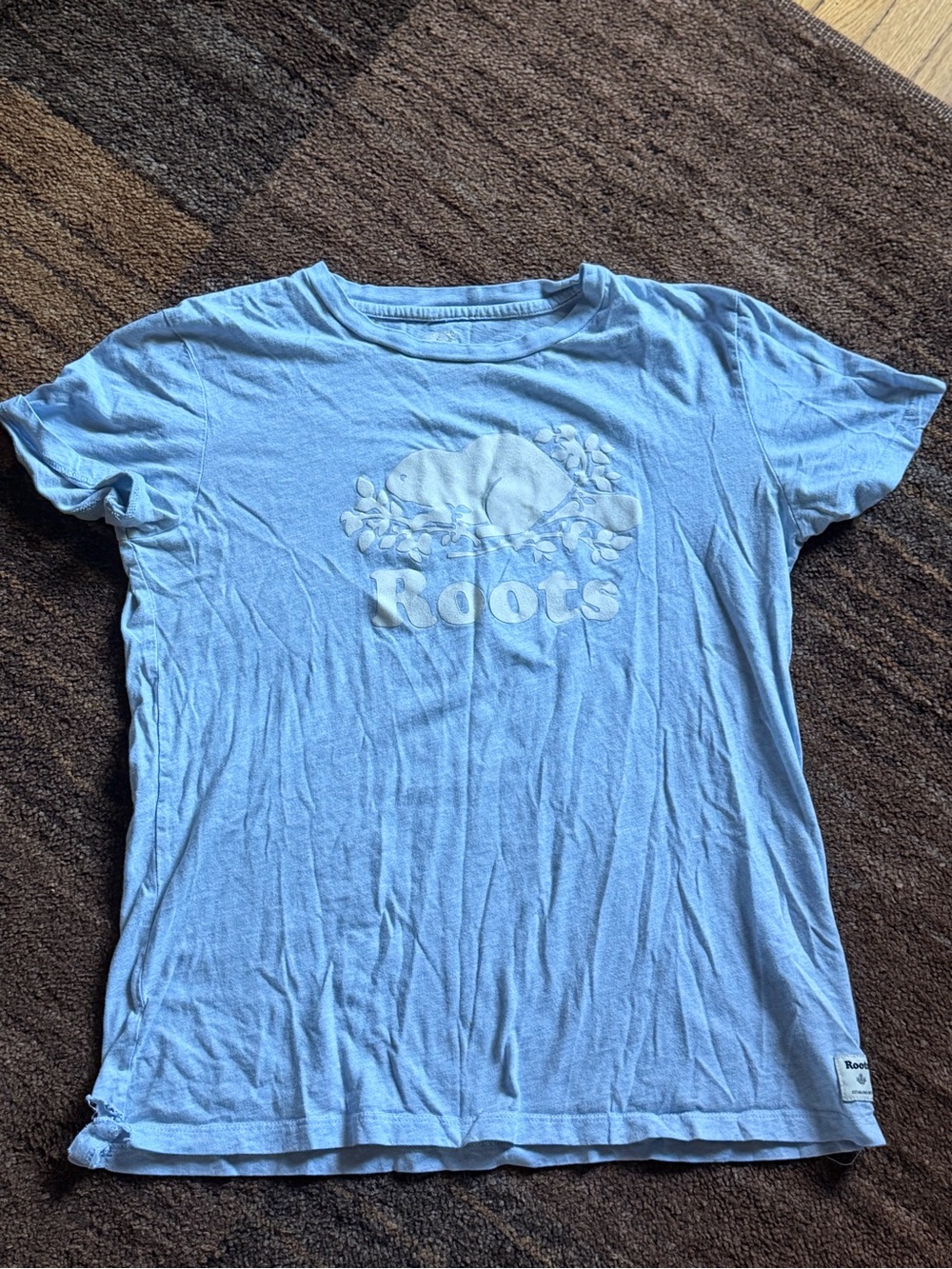 Roots Kids Light Blue Logo Tee with Beavertail Graphic